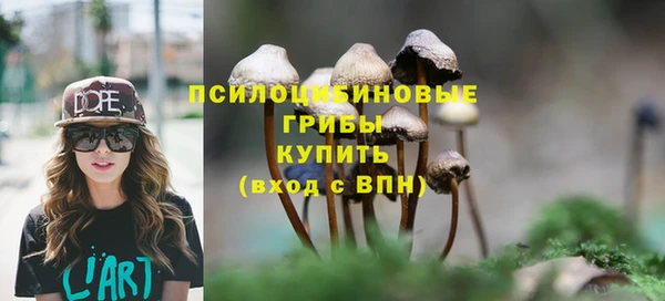 ГАЛЛЮЦИНОГЕННЫЕ ГРИБЫ Бронницы